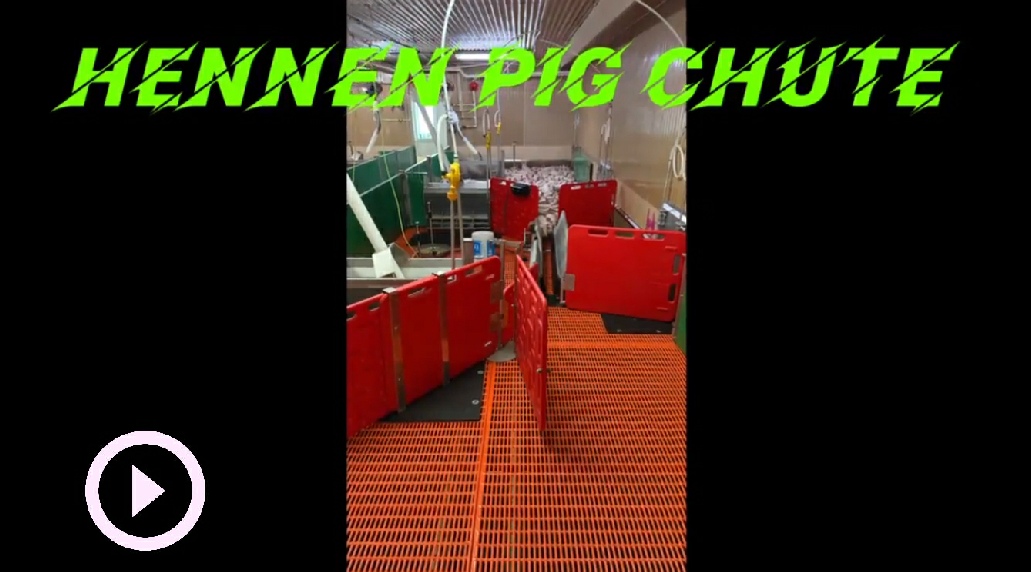 VID-20260204-WA0010.mp4